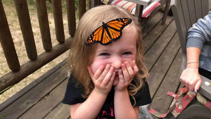 page,16,top 750 daily pics of the year 2019.html - 1 HD Photos | Premium Gallery 2019