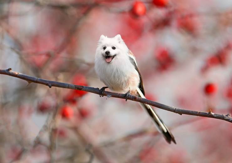 funny picdump 56 pics 9.html - 56 HD Photos | Premium Gallery 2019