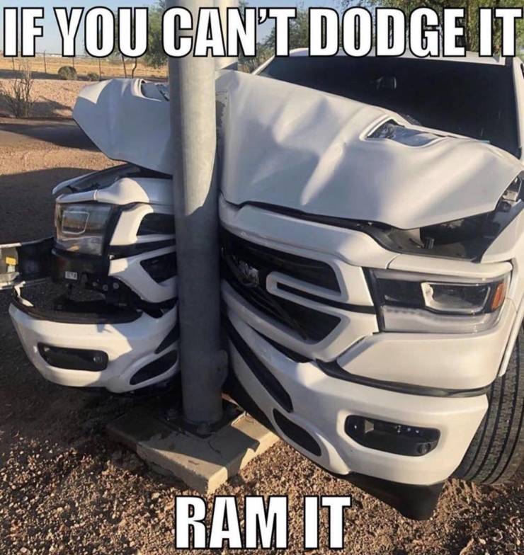 funny picdump 56 pics 9.html - 56 HD Photos | Premium Gallery 2019