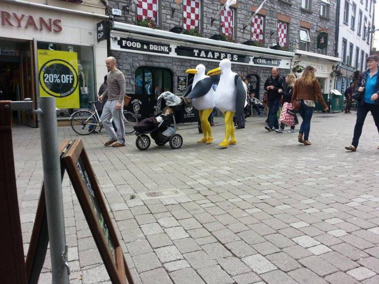 Sometimes You Just Can’t Explain…