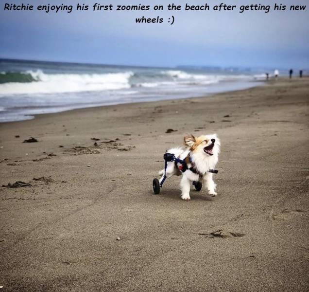 morning picdump 54 pics 1.html - 54 HD Photos | Premium Gallery 2019