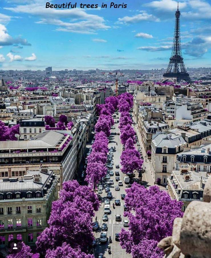 morning picdump 54 pics 1.html - 54 HD Photos | Premium Gallery 2019