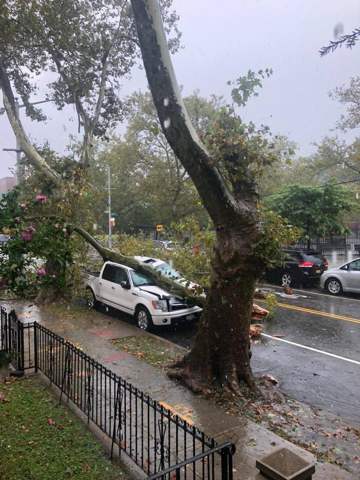 morning picdump 54 pics 1.html - 54 HD Photos | Premium Gallery 2019