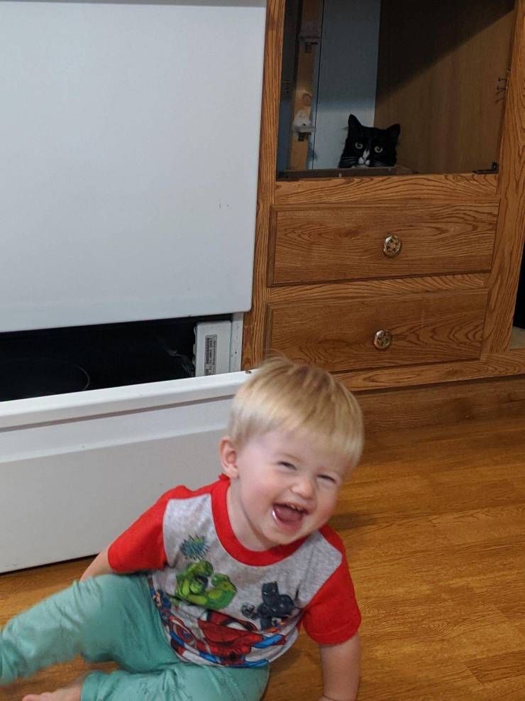 morning picdump 54 pics 1.html - 54 HD Photos | Premium Gallery 2019