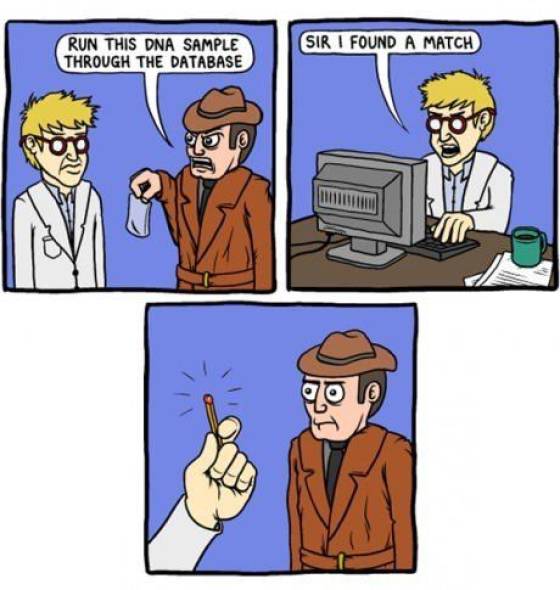 page,9,top 250 funny pics of the year 2019.html - 1 HD Photos | Premium Gallery 2019