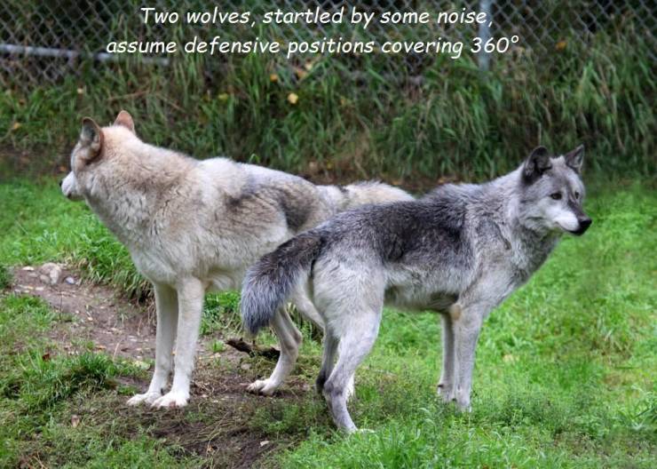 page,4,top 250 morning pics of the year 2019.html - 1 HD Photos | Premium Gallery 2019