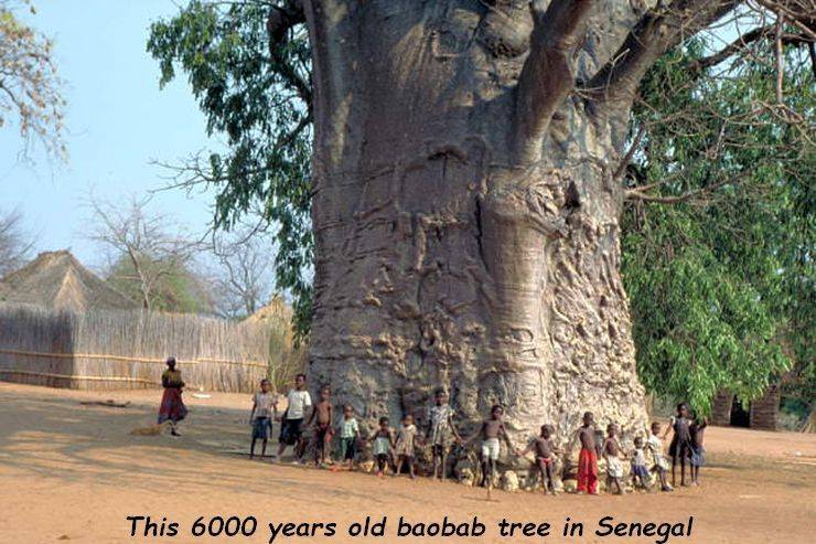 daily picdump 93 pics 6.html - 93 HD Photos | Premium Gallery 2019