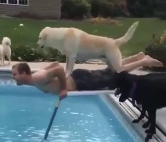 daily picdump 93 pics 6.html - 93 HD Photos | Premium Gallery 2019