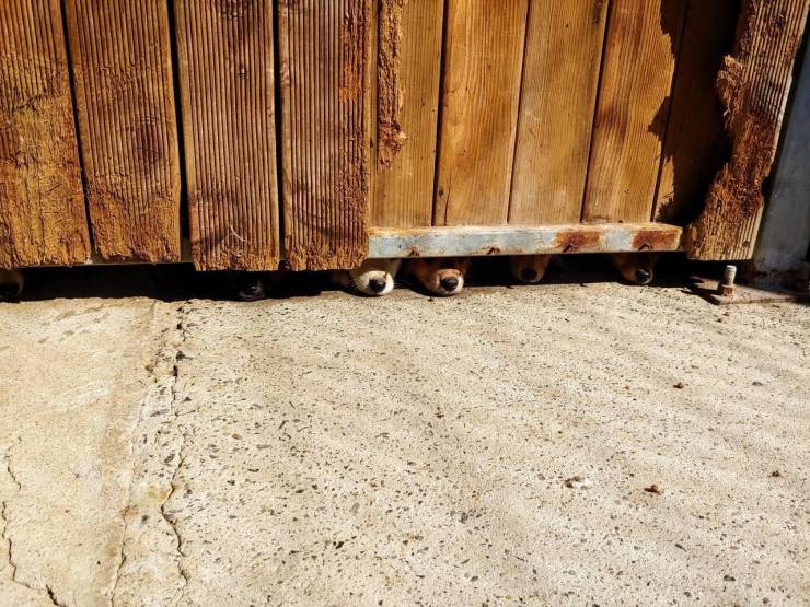 daily picdump 93 pics 6.html - 93 HD Photos | Premium Gallery 2019