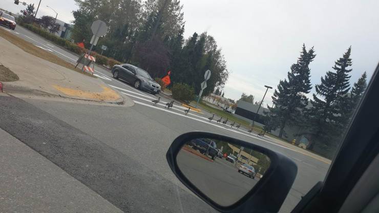 daily picdump 93 pics 6.html - 93 HD Photos | Premium Gallery 2019