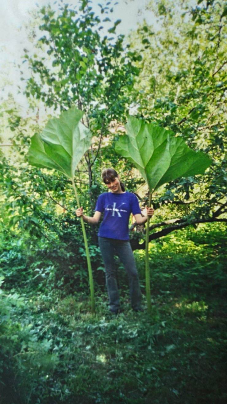 daily picdump 93 pics 6.html - 93 HD Photos | Premium Gallery 2019