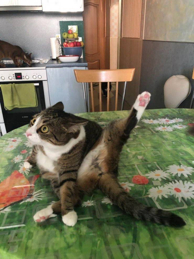 daily picdump 93 pics 6.html - 93 HD Photos | Premium Gallery 2019