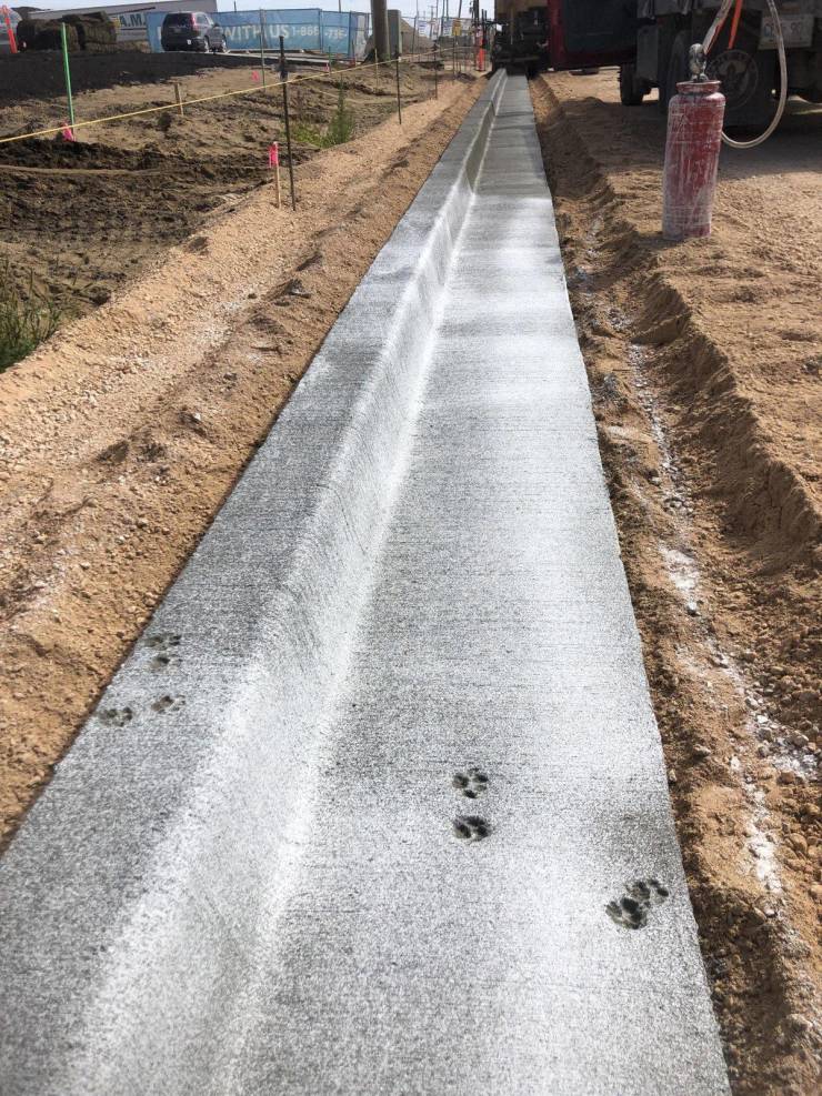 daily picdump 93 pics 6.html - 93 HD Photos | Premium Gallery 2019