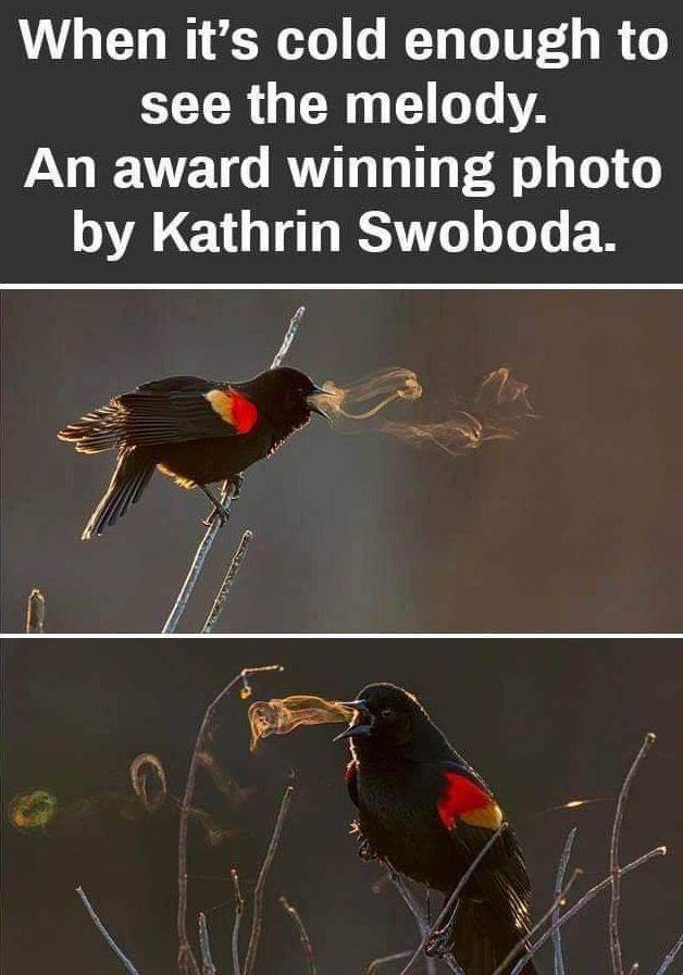 daily picdump 93 pics 6.html - 93 HD Photos | Premium Gallery 2019