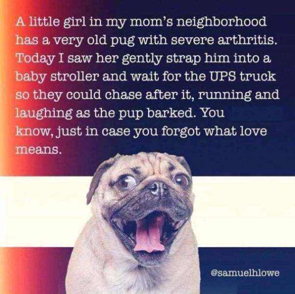 page,9,top 250 funny pics of the year 2019.html - 1 HD Photos | Premium Gallery 2019