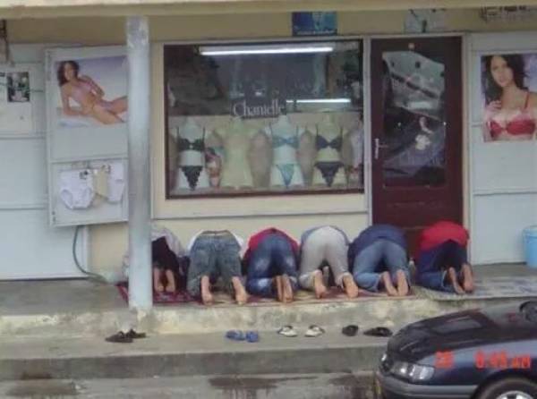 page,9,top 750 daily pics of the year 2019.html - 1 HD Photos | Premium Gallery 2019