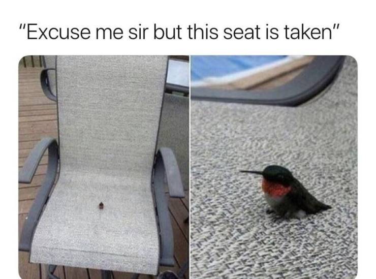 funny picdump 60 pics 19.html - 60 HD Photos | Premium Gallery 2019