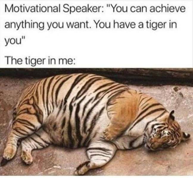 funny picdump 60 pics 19.html - 60 HD Photos | Premium Gallery 2019