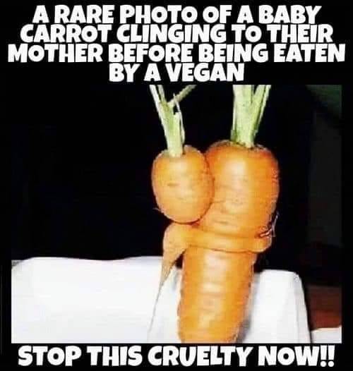 funny picdump 60 pics 19.html - 60 HD Photos | Premium Gallery 2019