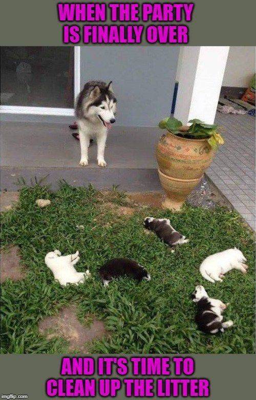 funny picdump 60 pics 19.html - 60 HD Photos | Premium Gallery 2019