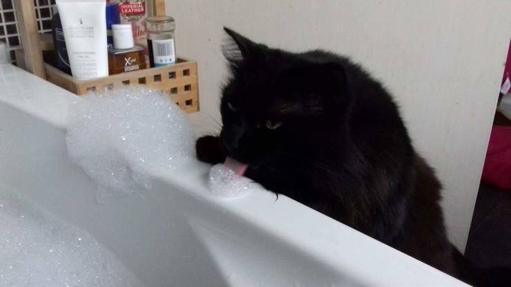 daily picdump 97 pics 48.html - 97 HD Photos | Premium Gallery 2019