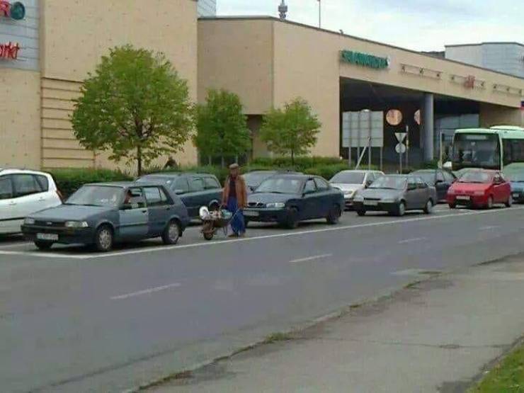 daily picdump 97 pics 48.html - 97 HD Photos | Premium Gallery 2019