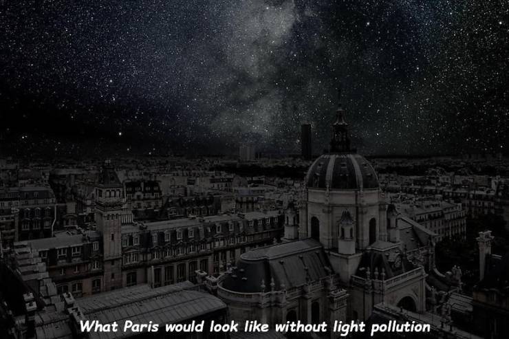 daily picdump 97 pics 48.html - 97 HD Photos | Premium Gallery 2019