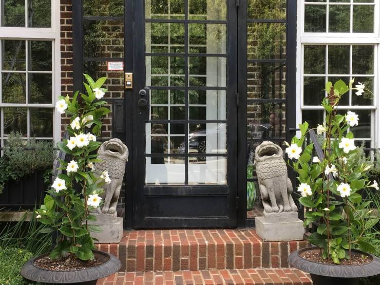 daily picdump 97 pics 48.html - 97 HD Photos | Premium Gallery 2019