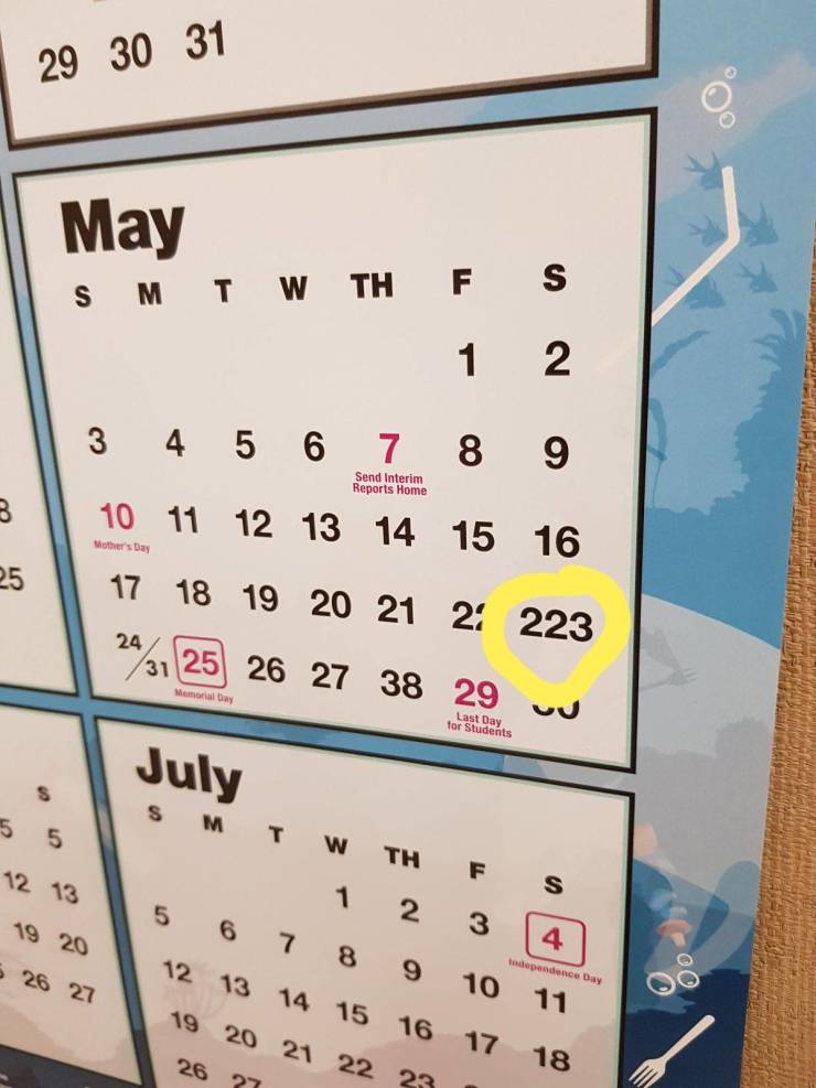 daily picdump 97 pics 48.html - 97 HD Photos | Premium Gallery 2019