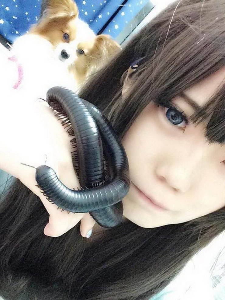 daily picdump 97 pics 48.html - 97 HD Photos | Premium Gallery 2019