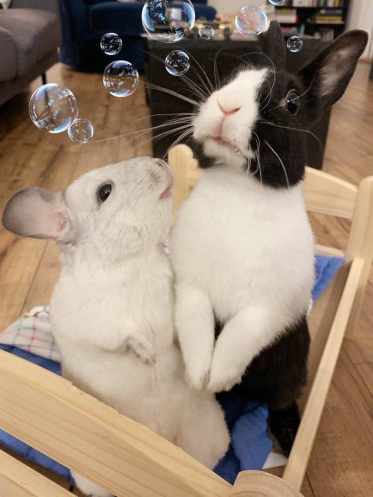 daily picdump 97 pics 48.html - 97 HD Photos | Premium Gallery 2019