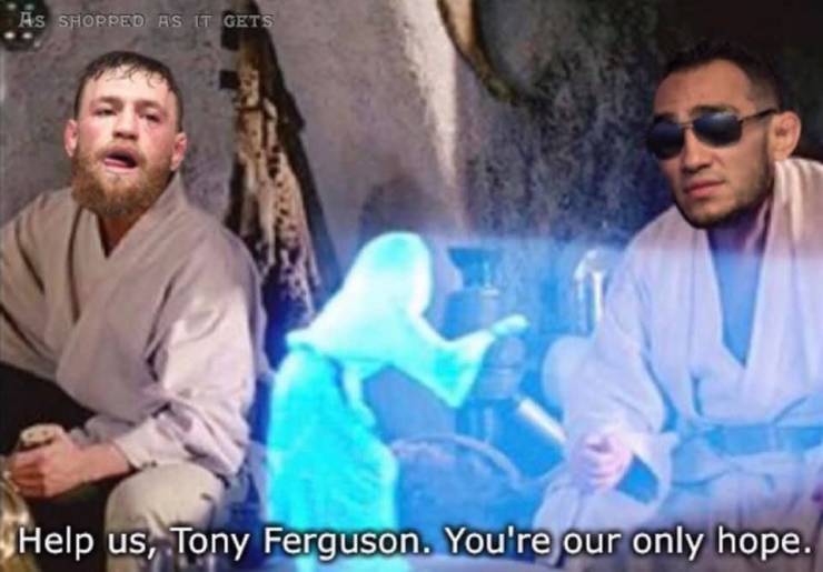 funny picdump 54 pics 4.html - 54 HD Photos | Premium Gallery 2019