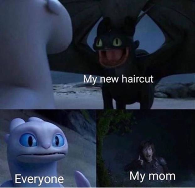 funny picdump 54 pics 4.html - 54 HD Photos | Premium Gallery 2019