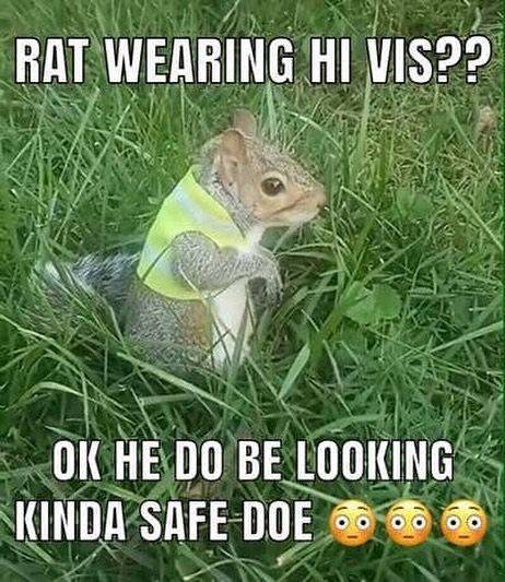 funny picdump 54 pics 4.html - 54 HD Photos | Premium Gallery 2019