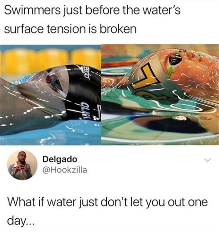 funny picdump 54 pics 4.html - 54 HD Photos | Premium Gallery 2019