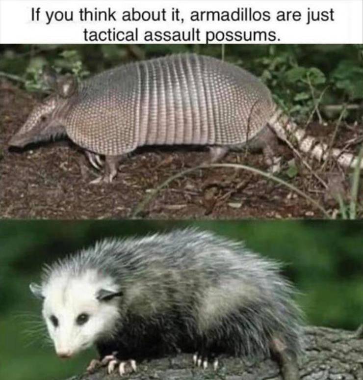 funny picdump 54 pics 4.html - 54 HD Photos | Premium Gallery 2019