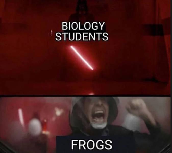 funny picdump 53 pics 13.html - 53 HD Photos | Premium Gallery 2019