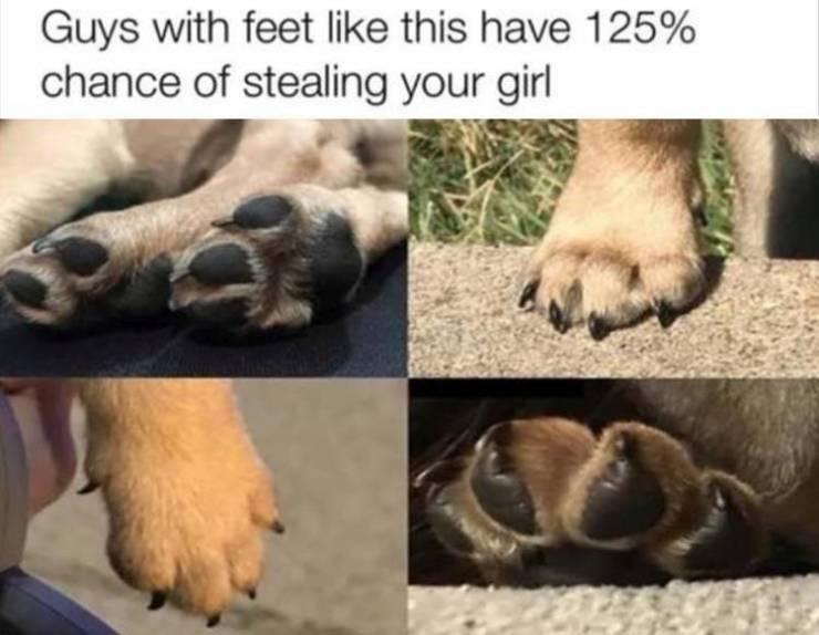 funny picdump 53 pics 13.html - 53 HD Photos | Premium Gallery 2019