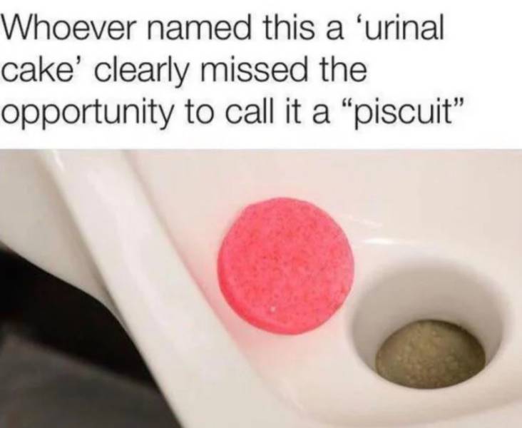 funny picdump 53 pics 13.html - 53 HD Photos | Premium Gallery 2019