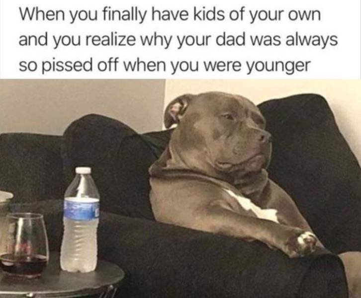 funny picdump 53 pics 13.html - 53 HD Photos | Premium Gallery 2019