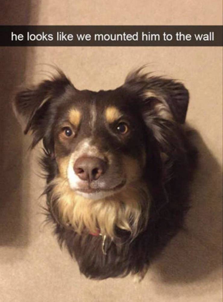 funny picdump 53 pics 13.html - 53 HD Photos | Premium Gallery 2019