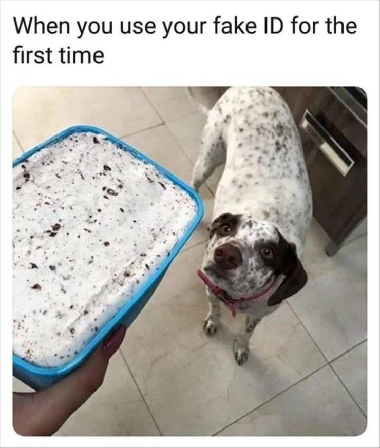 funny picdump 53 pics 13.html - 53 HD Photos | Premium Gallery 2019