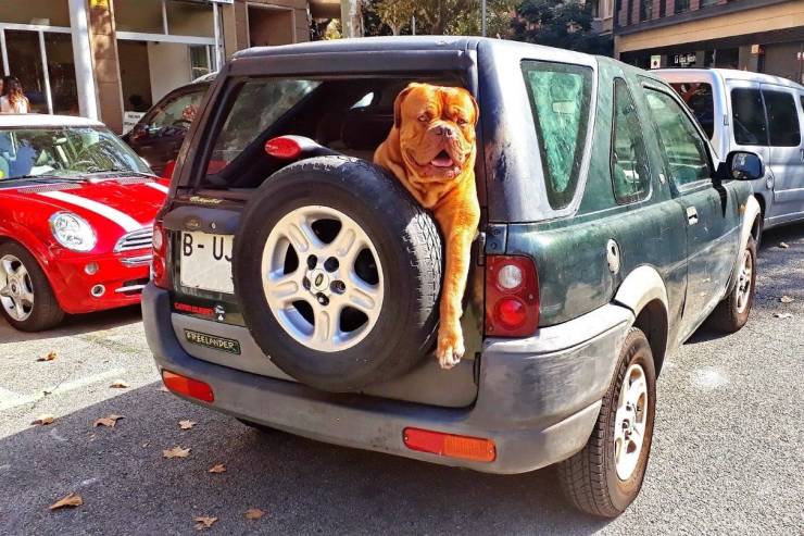 daily picdump 99 pics 38.html - 99 HD Photos | Premium Gallery 2019