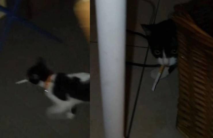 daily picdump 99 pics 38.html - 99 HD Photos | Premium Gallery 2019