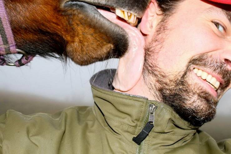 daily picdump 99 pics 38.html - 99 HD Photos | Premium Gallery 2019