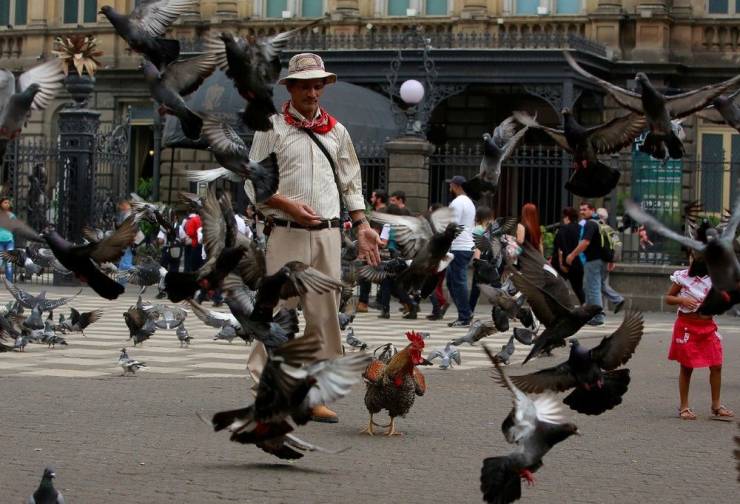 daily picdump 99 pics 38.html - 99 HD Photos | Premium Gallery 2019