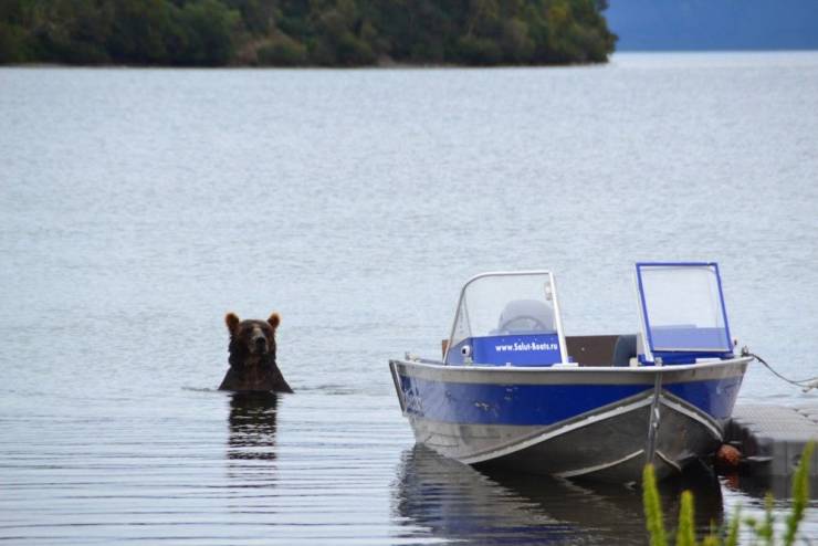 daily picdump 99 pics 38.html - 99 HD Photos | Premium Gallery 2019