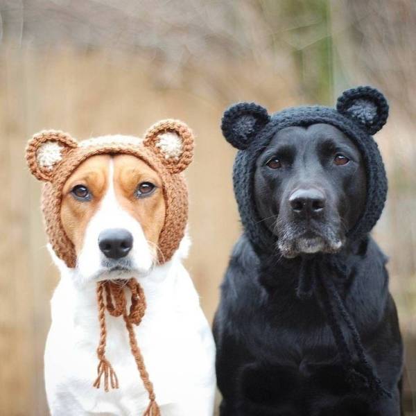 daily picdump 99 pics 38.html - 99 HD Photos | Premium Gallery 2019