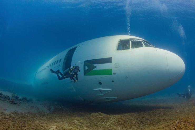 daily picdump 99 pics 38.html - 99 HD Photos | Premium Gallery 2019