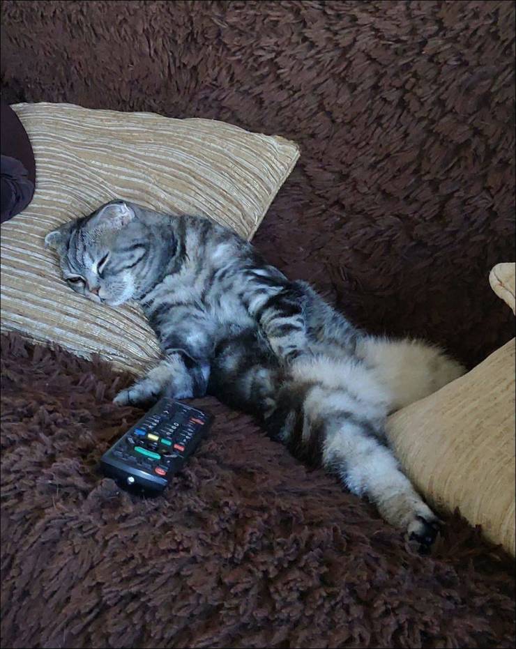 daily picdump 99 pics 38.html - 99 HD Photos | Premium Gallery 2019